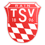 TSV 1896 Rain am Lech logo