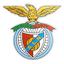 Nelas logo
