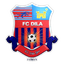 Dila Gori logo