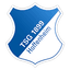 TSG Hoffenheim II logo