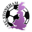 AFC Stoneham logo