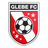 Glebe