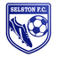Selston logo