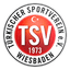 Türkischer SV Wiesbaden logo