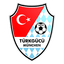 Türkgücü München logo