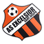 Association Sportive Excelsior Saint-Joseph logo