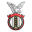 FC Stockholm Internazionale logo