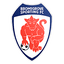 Bromsgrove Sporting logo