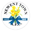 Newent Town logo