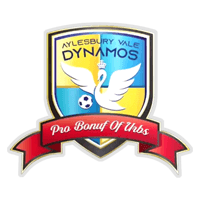 Aylesbury Vale Dynamos