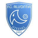 Alisontia Steinsel