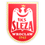 Ślęza Wrocław logo
