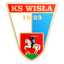Wisła Puławy logo