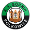 Górnik Polkowice logo