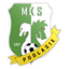Podlasie Biała Podlaska logo