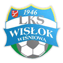 Wisłok Wiśniowa