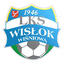 Wisłok Wiśniowa logo
