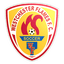Westchester Flames logo