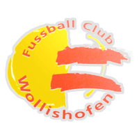 FC Wollishofen