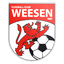 FC Weesen logo